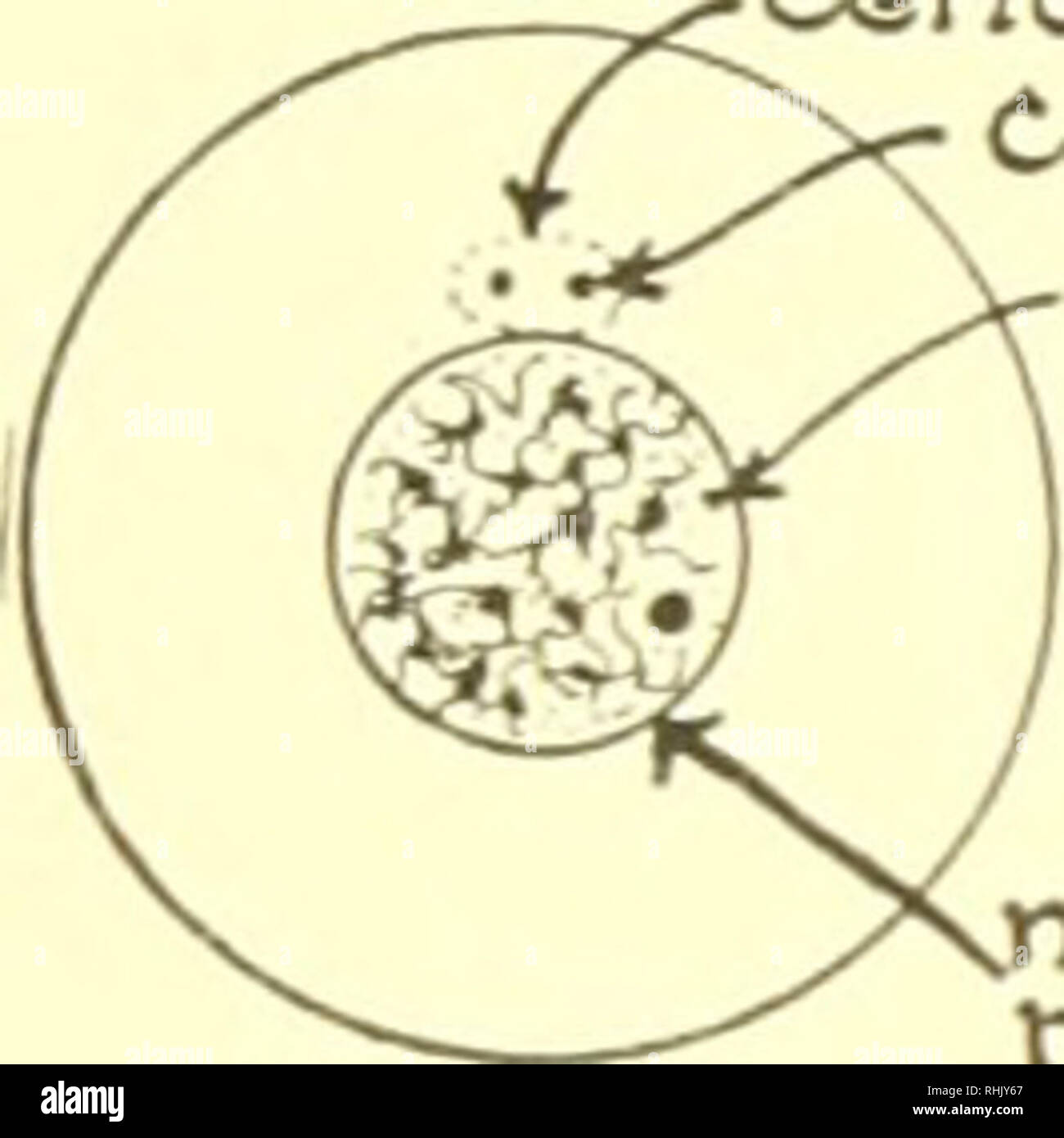 . Biology; the story of living things. CELLS AND TISSUES ,,, centrioles
