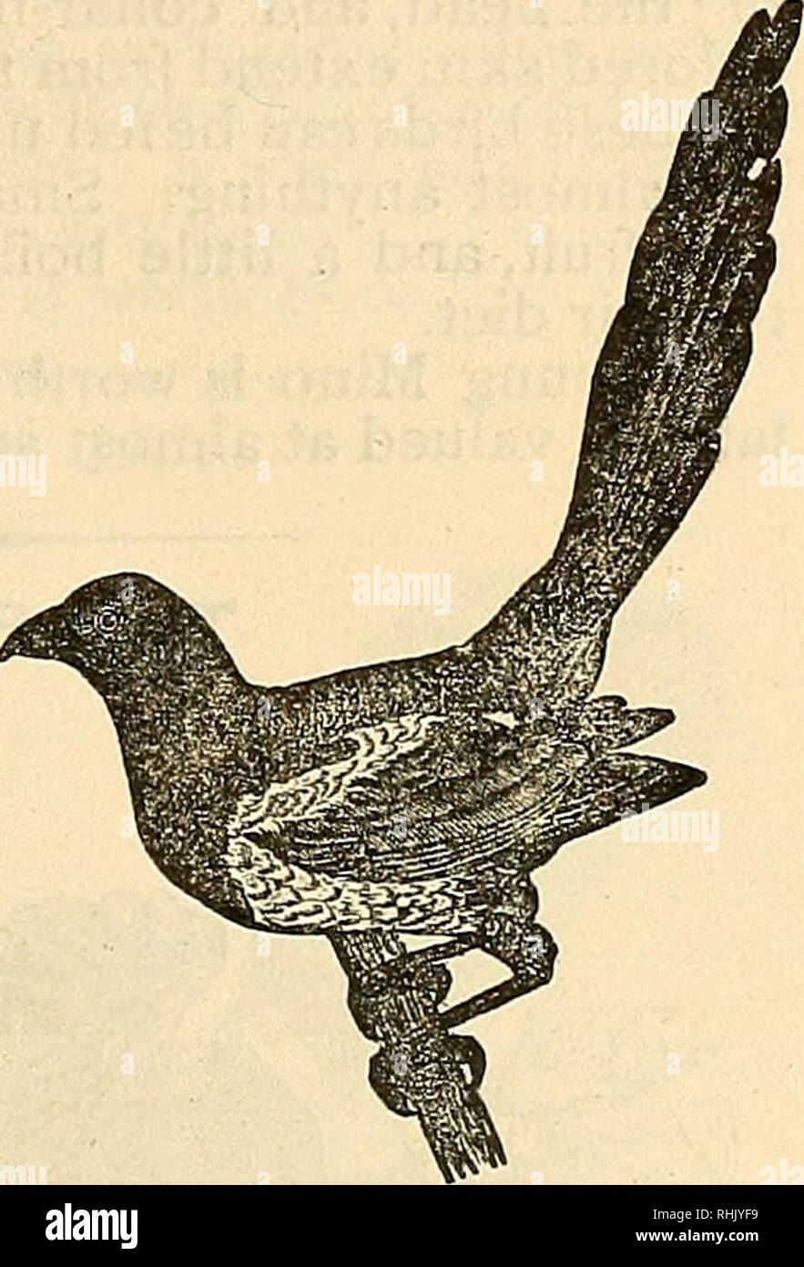 Inner Peace Kung Fu Panda Memes and Quotes, image size:883x1390