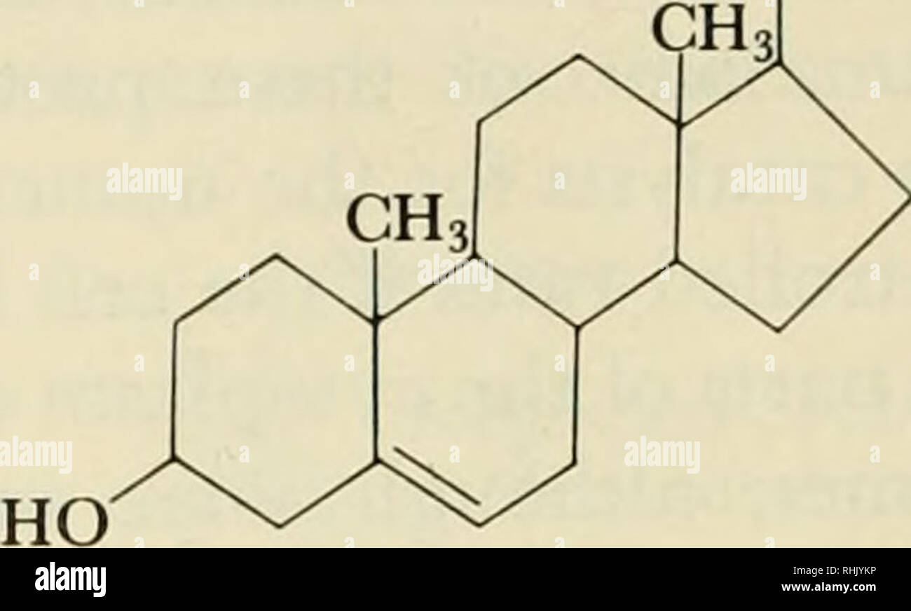 Biophysical Science Biophysics 270 X Ray Analyses Of Proteins And Nucleic Acids 15 I H C O C Hc O G O Ci5h31 O C17h33 O H2c O C A C17h35 O Ch3 Ch3 Hc C3h6 Ch Ch3 B H2c O C