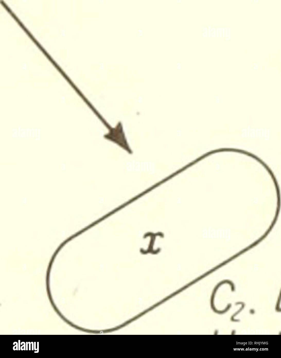 Incomplete life cycle hi-res stock photography and images - Alamy