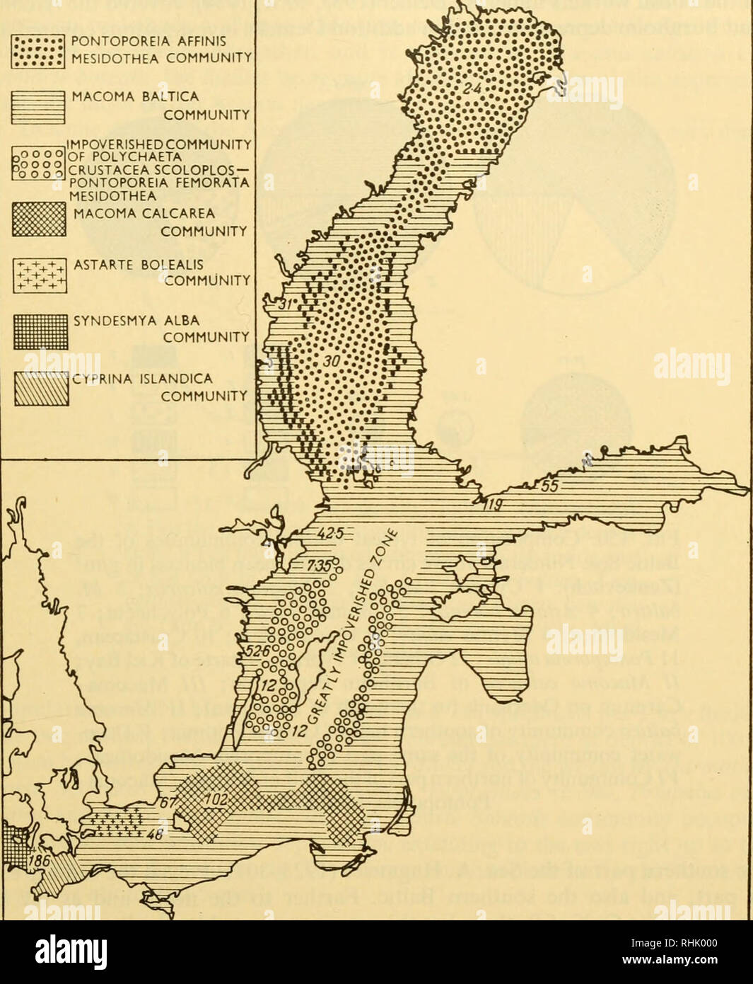 . Biology of the seas of the U.S.S.R. Marine biology -- Soviet Union; Hydrology -- Soviet Union. THE BALTIC SEA 315 In these areas west of the Darss ridge, a still considerable qualitative variety of benthos is observed; there are a large number of worms: Nephthys ciliata, N. coeca, Terebellides stromi, Pectinaria koreni, Scoloplos armiger and PONTOPOREIA AFFINIS ?::::: mesidothea community .0000 0000 0000 MACOMA BALTICA COMMUNITY IMPOVERISHEDCOMMUNITY OF POLYCHAETA CRUSTACEA SCOLOPLOS — PONTOPOREIA FEMORATA MESIDOTHEA MACOMA CALCAREA COMMUNITY. Fig. 149. Distribution of bottom communities in Stock Photo