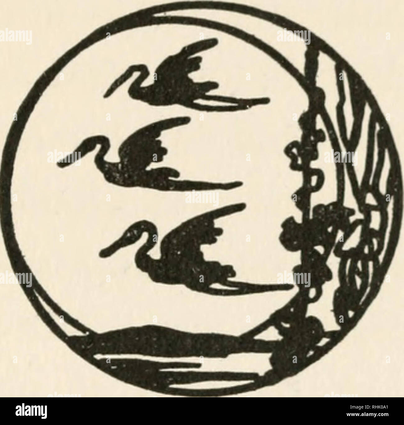 Bird gods. Animal worship; Birds -- Folklore. Bird Gods in Ancient Europe ited by a race somewhat homogeneous. We learn to call these earlier swarms the Pclas- gians — a name Bird gods. Animal worship; Birds -- Folklore. Bird Gods in Ancient Europe ited by a race somewhat homogeneous. We learn to call these earlier swarms the Pclas- gians — a name