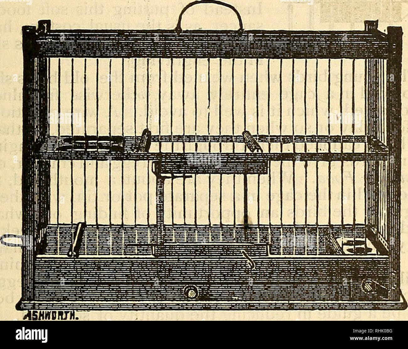 The Bird food company's book of cage birds:. Cage birds. 29 When the male  begins to feed the female, you may rest assured that all is going as it  should, and