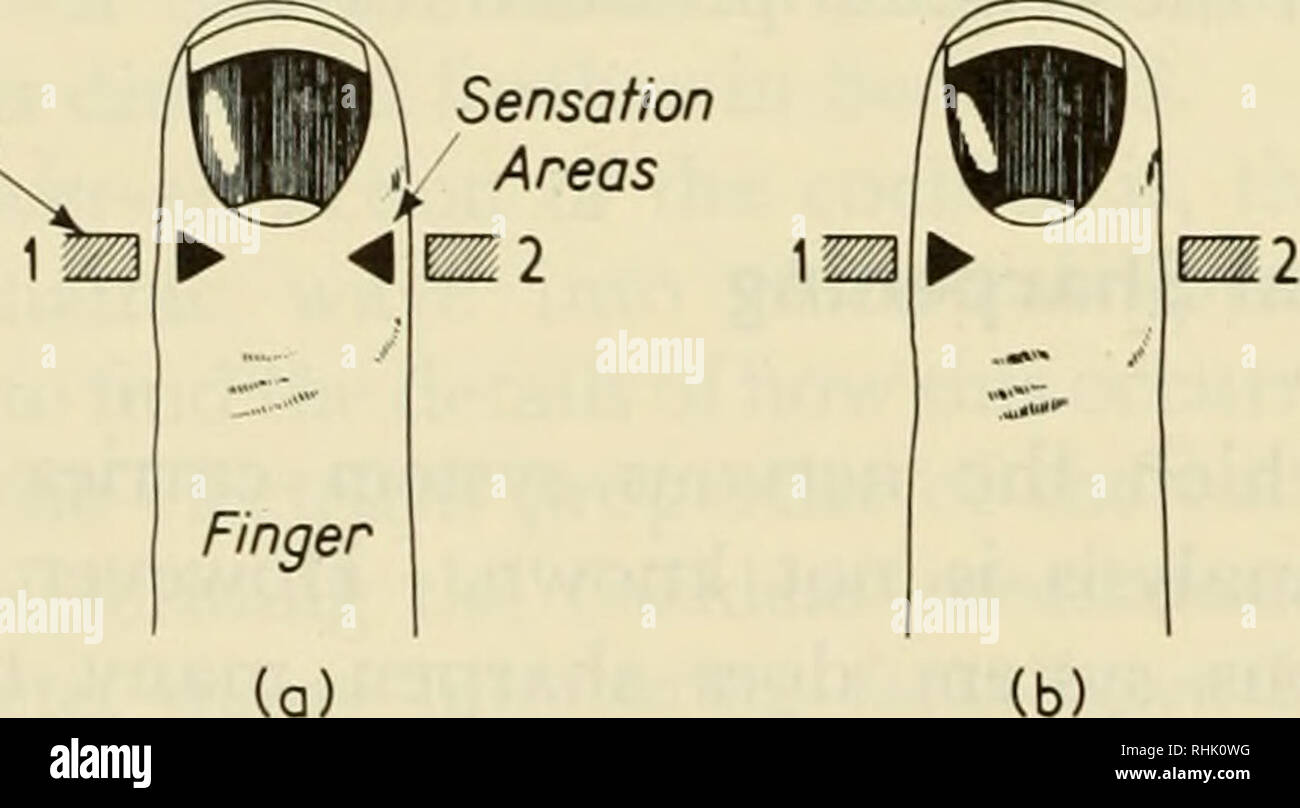 Biophysical Science Biophysics 112 Neural Mechanisms Of Hearing 6 3 Another Interesting Case Is The Location Of Two Click Like Stimuli On Opposite Sides Of The Finger For Long Time Delays