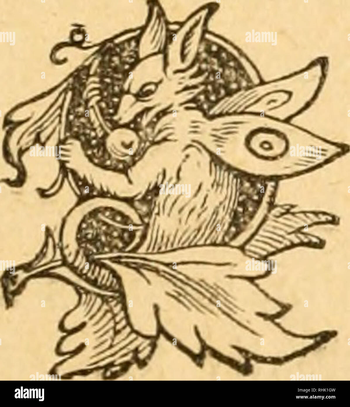 The Bird Fancier S Companion Or Natural History Of Cage Birds Their Food Management Habits Treatment Diseases Etc Etc Cage Birds 61 The Blue Or Indigo Bird Spiza Cyanea This Bird Is