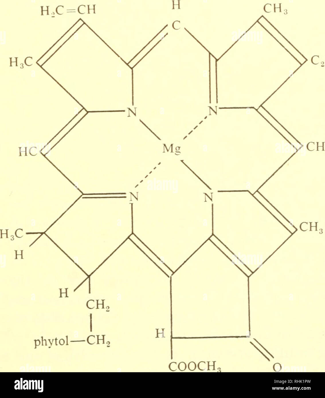 The Biology Of Marine Animals Marine Animals Physiology Comparative Ch2 H Ch 1 Ch Ch 1 1 Cooh Protoporphyrin 1 Cooh Hx Ch Ch2 Phytol Ch Cooch3 Chlorophyll Fl Ch Please Note That These