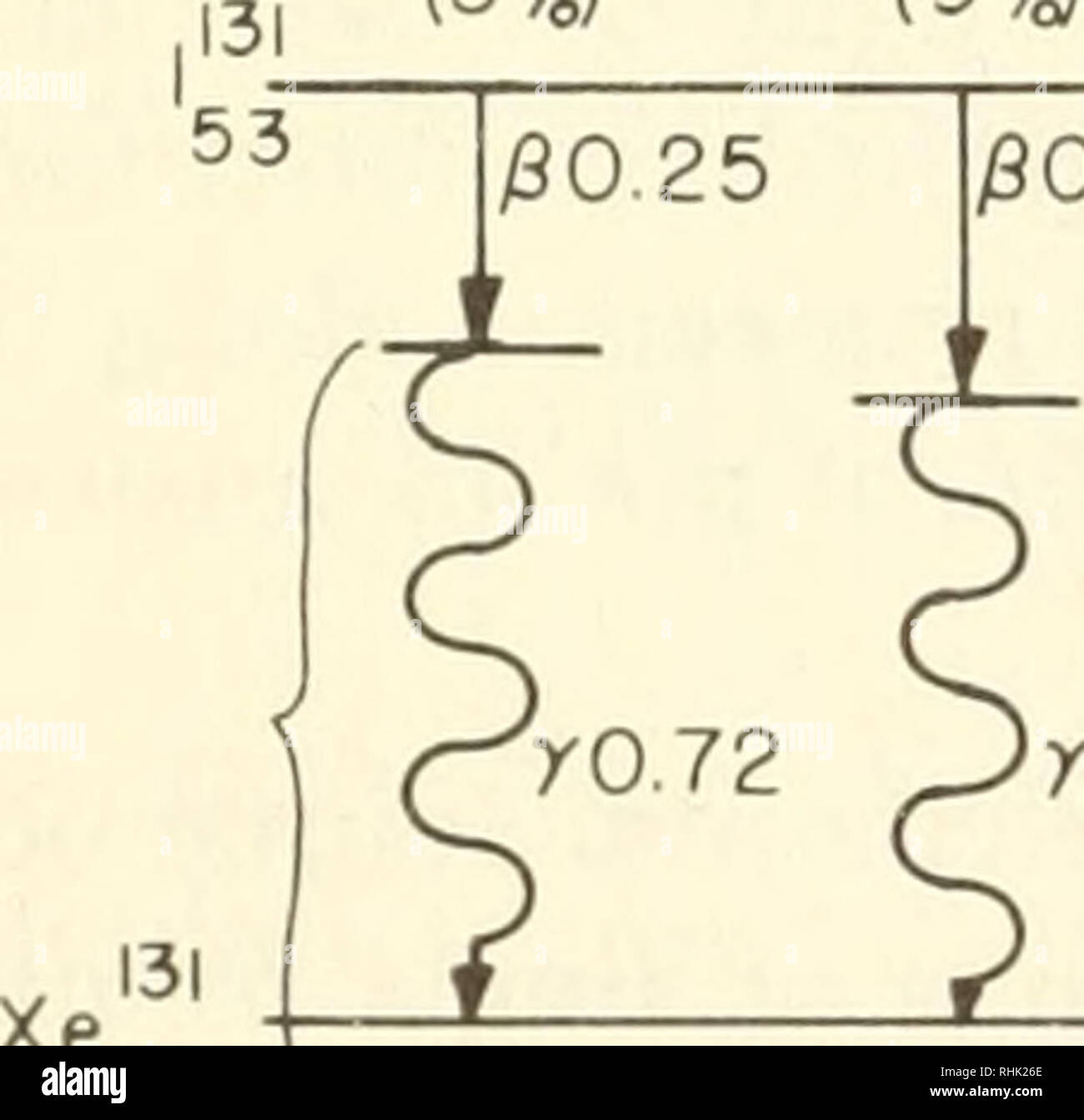 . Biophysics: concepts and mechanisms. Biophysics. yl 29 ^ rl.10 (43%) ^ (57%) Sr y 90  38 90 28yrs 32 0 0.54 15&quot; 0 0.306 39 5.25yrs 7 I. I7mev Zr yl. 33mev 9o  40 phosphorus-32 j8 2.26 .32 14 2 days 0l.7lmev carbon-14 .14 6 4 1 C N H He â 5568yrs 0O.I55mev 3 i 12.26 y rs 00.018 me v tritium lod ine-131 (3%) (9%) (87%). 00.33 /30.6lmev (1%) y0.64 &lt;wy0.36 &lt;-yO 28 ri(80%)r^-(5%) 00.87 â 8 04 days 70.08 70.08 54 v stable Figure 5-7. Decay Schemes for Several Radioactive Isotopes Used in Biological Research, and in Medical Diagnosis and Therapy.. Please note that these images are extra Stock Photo