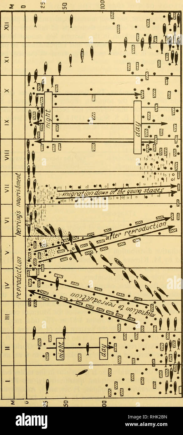 . Biology of the seas of the U.S.S.R. Marine biology -- Soviet Union; Hydrology -- Soviet Union. Ð¡ Ð¡ Ð¹ Ð ÐÐ¢) 'Ð¹Â°3 Ð¾- 2 Ñ Â«  Â£ 0.0 â¢5  Ð³Ð¸ 6 'So Ð¯ ÐµÐ² â¢Â« Ð¾ ^ a G .2 ÑÐ¾.Ð¬ Ð¾ IBH 3 Ð) Ð¹ &quot;Ð¹ Ð¡ Ow in Ð» x: t*i h Ð Ð¸ Â«Â« ÑÐ· 5 Ð¾Ð· .Â« Ð¾ ts â¢ .-Ð- -^ Ð¾ J2 o^S   Ð¡ ÐÐ½Ð Ð¢Ð Ð¾ Ð Ð ÑÂ«Ð¸ Â° Â«Ð· -*  Ñ fist 8 Ð¾ &quot;^ Ð» ^ &quot;* Ð â Ð´ Ð¾ Ñ U 1Ð½ Ð Ð¡Ð Ð! Â°ÐÑ )Â£ Ð ^Ð¢Ð .  Ð¬Ð&gt; ^s gn Ð¡ -^ Ð¥Ð Ð¡ Ð¡ Ð¸ Ð²Ð´Ð Ñ â ÑÐ· Ð¡Ð r1-1 ^ 'Ð¡ 2 Ð¾ Â«Ð» Ci Ñ. Please note that these images are extracted from scanned page images that may have been digitally enhanced for readabi Stock Photo