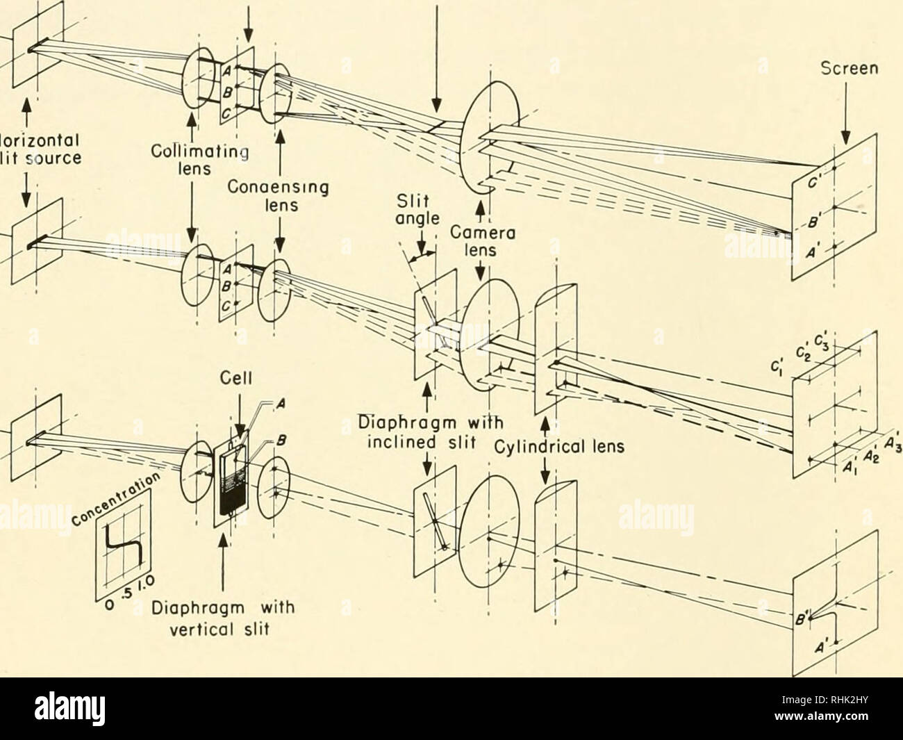 Schematic diagram showing the proposed method (HY).