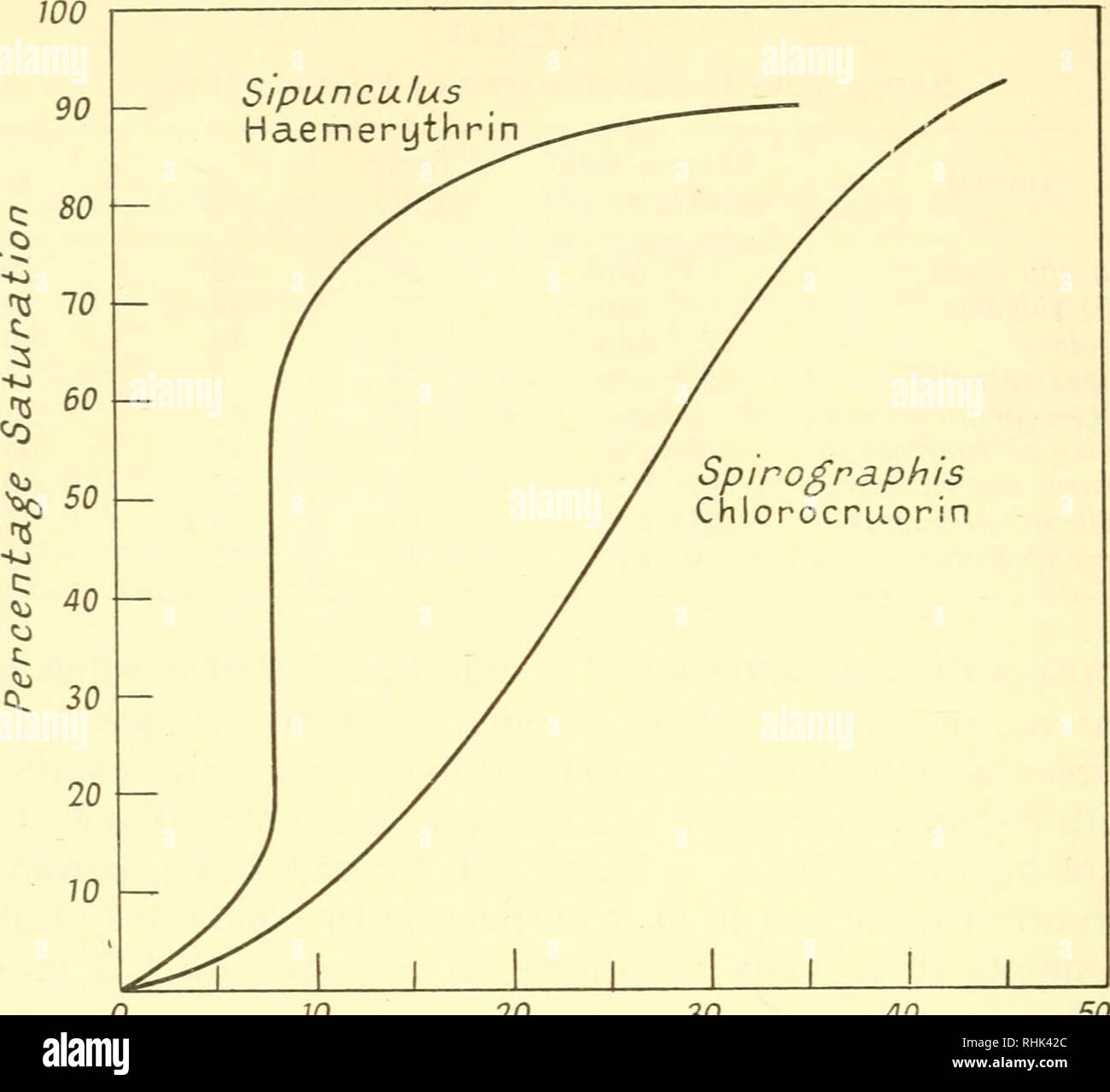 . The biology of marine animals. Marine animals; Physiology, Comparative. 0 10 20 30 40 Oxygen Tension (mm Hg) Fig. 4.20. Oxygen Dissociation Curves for Haemerythrin of Sipunculus nudus (19&amp;C, C02 0-07-80 mm Hg), and Chlorocruorin of Spirographs spallanzanii (20°C, pH 7-7) (Haemerythrin data from Florkin, 1932; chlorocruorin data from H. M. Fox, 1932.) Fig. 60 - 5 .§ 40 5 - o ^^^^ O// o &quot;&quot;&quot;&quot;A A 1 £ &amp;s* ' A jo I-VJ 1 1 I i ISO / 2 3 4-56 Oxygen Concentration 4.21. Effect of carbon monoxide on Oxygen Consumption of Sabella pavonina, a Worm Containing Chlorocruorin The Stock Photo