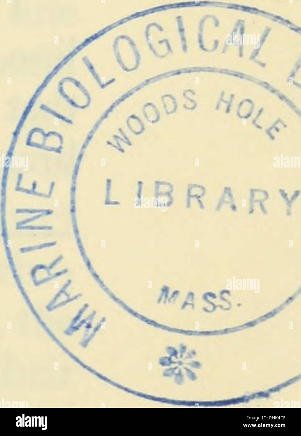 . The biology of Stentor. Stentor. Fig. 16. Pertaining to the fission