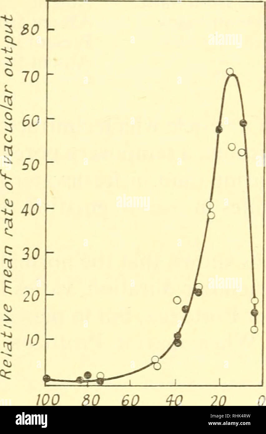 Freshwater protozoa hi-res stock photography and images - Page 3 - Alamy Freshwater protozoa hi-res stock photography and images - Page 3 - Alamy