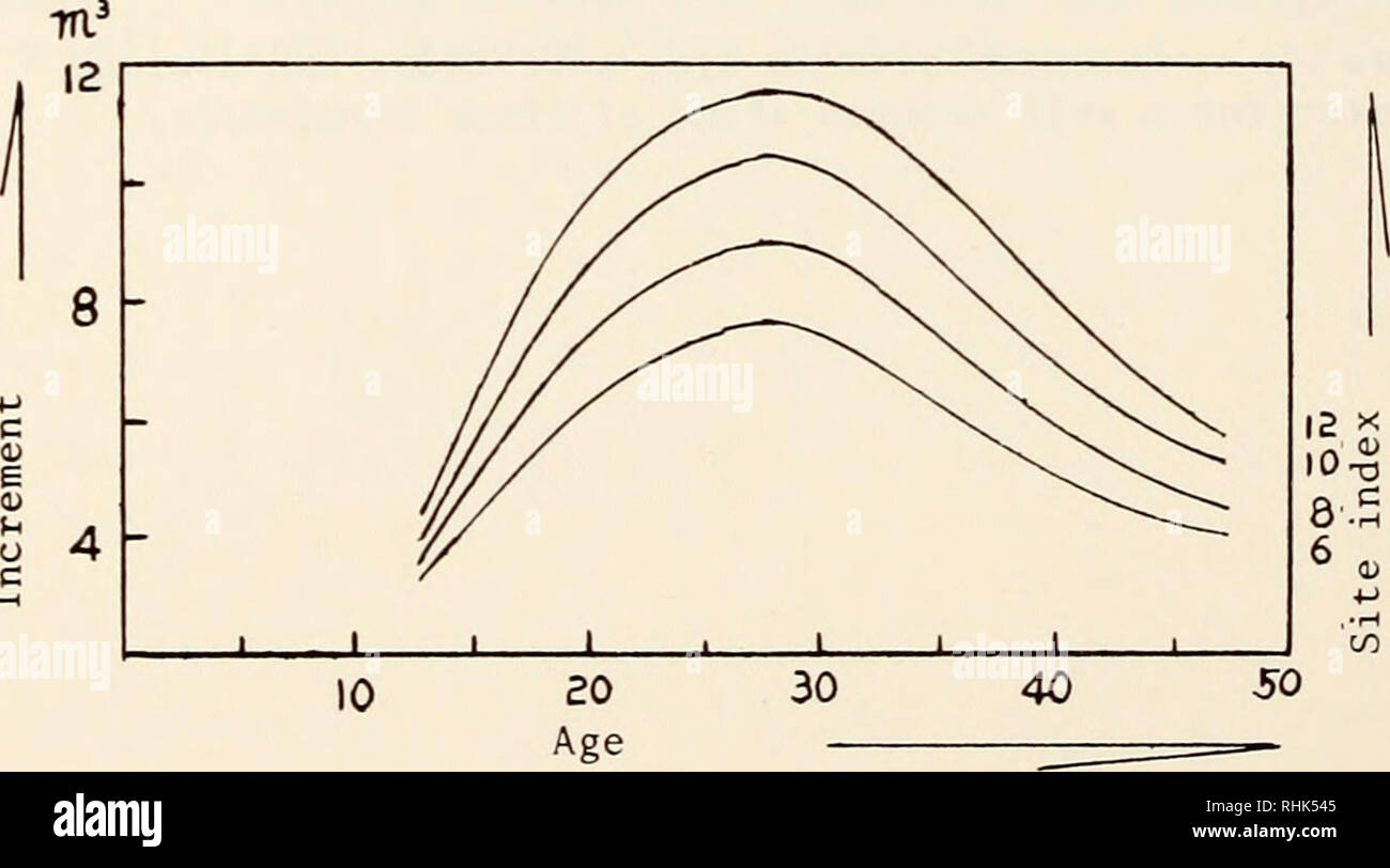 . Biology of rust resistance in forest trees : proceedings of a NATO-IUFRO advanced study institute, August 17-24, 1969. Trees; Pine; Trees; Rust diseases. Age Figure 15. The volumes in cubic meter on age by site index for average well stocked stands of Pinus kovaiensis.. Figure 16. Current annual increment curve of major trees (volume per ha in cubic meters) of Pinus koraiensis.. Please note that these images are extracted from scanned page images that may have been digitally enhanced for readability - coloration and appearance of these illustrations may not perfectly resemble the original wo Stock Photo