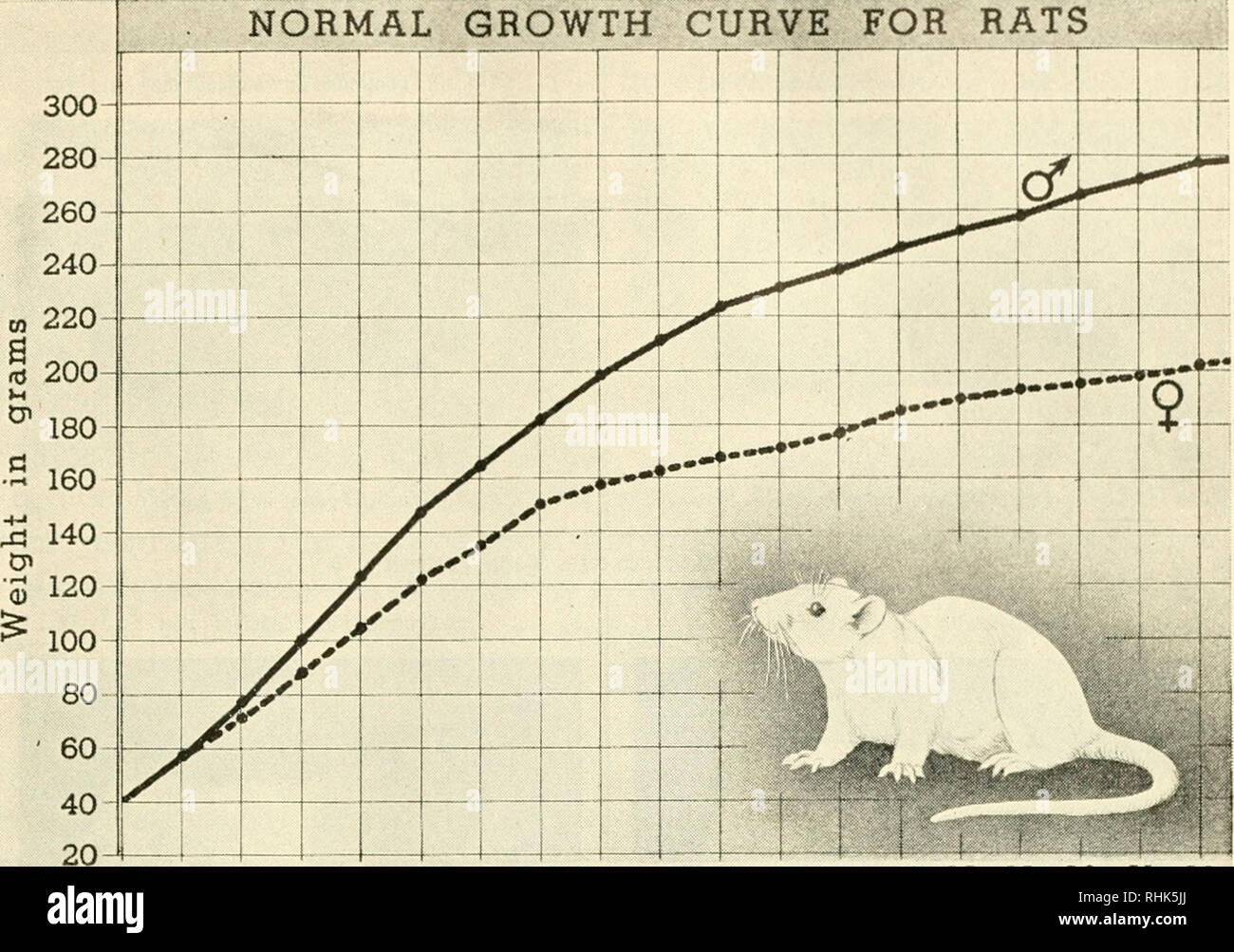 Biology And Man Biology Human Beings Normal Growth Curve For Rats 4 5 7 8 10 11 12 13 14 15 16 17 18 19 20 21 22 Age In Weeks