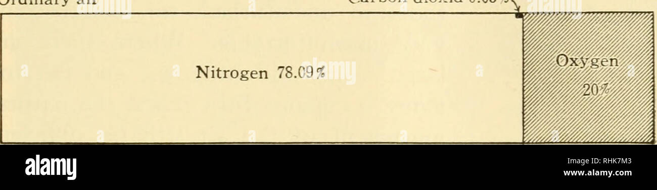 Biology and human life. Biology. HYGIENE OF RESPIRATION AND ...