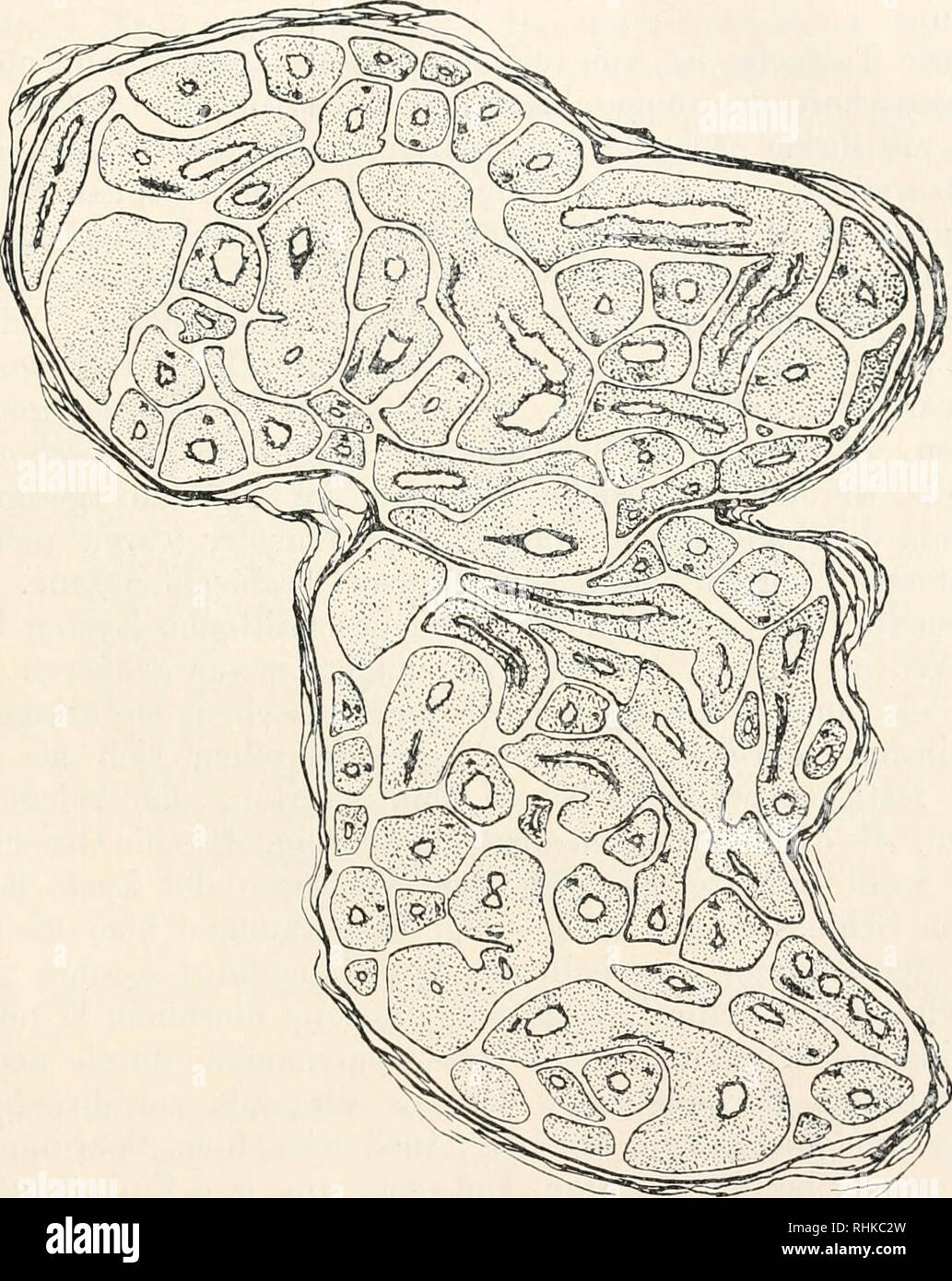 Download Belehrt Desktop Wallpaper Belehrt