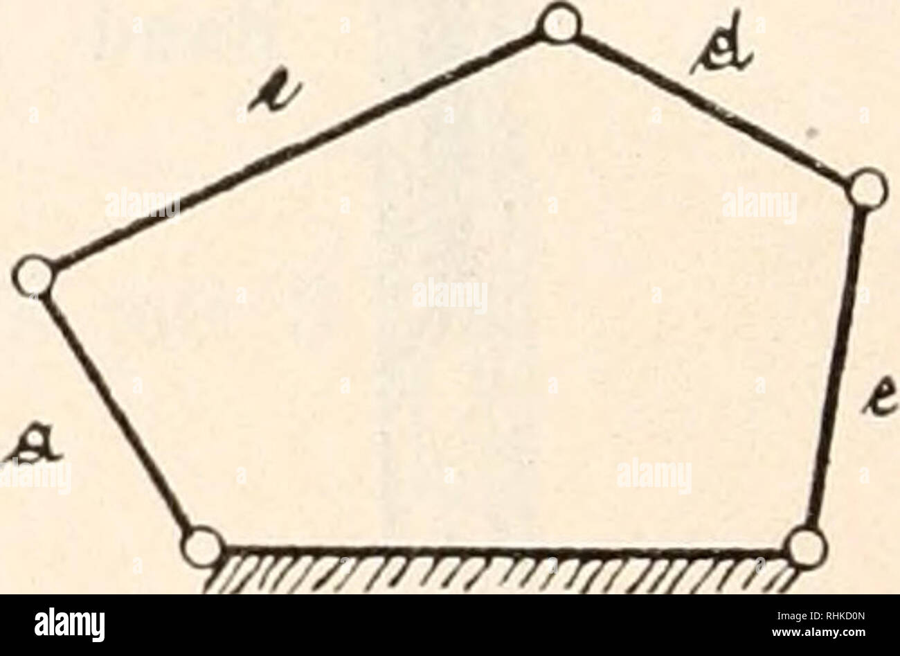 . Biologisches Zentralblatt. Biology. 516 Thilo, F, Reuleaux, Kinematik im Tierreiche. Dieses Entstehen von âSchlottergelenken&quot; kann man auch an anderen KÃ¶rperteilen beobachten und nach meinen Erfahrungen ist die sogenannte angeborene HÃ¼ftgelenkverrenkimg oft nichts anderes als ein angeborenes Schlottergelenk der HÃ¼fte, welches durch eine angeborene SchwÃ¤che der Muskeln des HÃ¼ftgelenkes bedingt ist. Man muss nun wohl also nach den Beobachtungen und ErwÃ¤gungen von Reuleaux sagen: Wo kein Umschluss stattfindet, liegt Kraftscliluss vor. Beim Kraftschluss spielen, wie es mir scheint, di Stock Photo