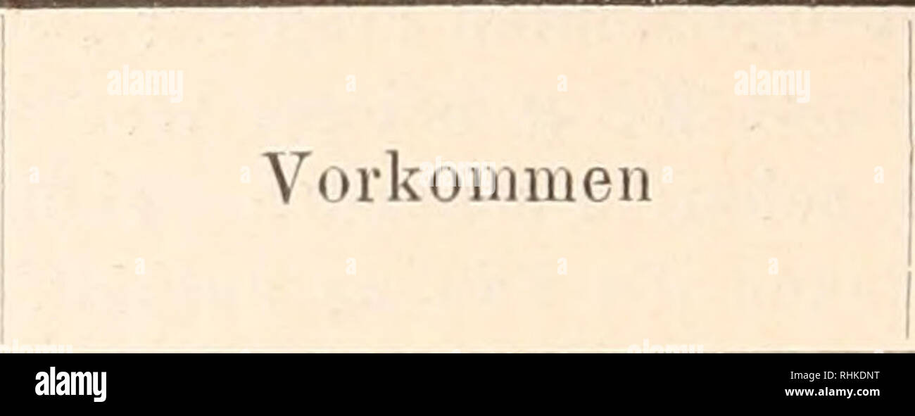 . Biologisches Zentralblatt. Biology. 184 Bokoni}^ Selbschntz der Pflanzen gegen Pilze. Name des Pflanzeustoffes. Verhalten gegen Pilze (Bakterien bezw. Schimmel) Oxalsäure Essigsäure Capronsäure Weinsäure Aepfelsäure Citronensäure Baldriansäure Bernsteinsäure Ameisensäure Buttersäure Propionsäure Pahnitin Stearin Olein ChloropliyllfarbstoÜ' Asparagin sehr verbreitet, als saures ' etwas giftig; auch im ver- Kalisalz in Oxalis und dünnten und neutralisier- Bumex etc., als Kalksalz j ten Zustand kein Nährstoff, in den meisten Pflanzen' teils frei, teils in Verbin- dung mit Kali und Kalk, im Saft Stock Photo