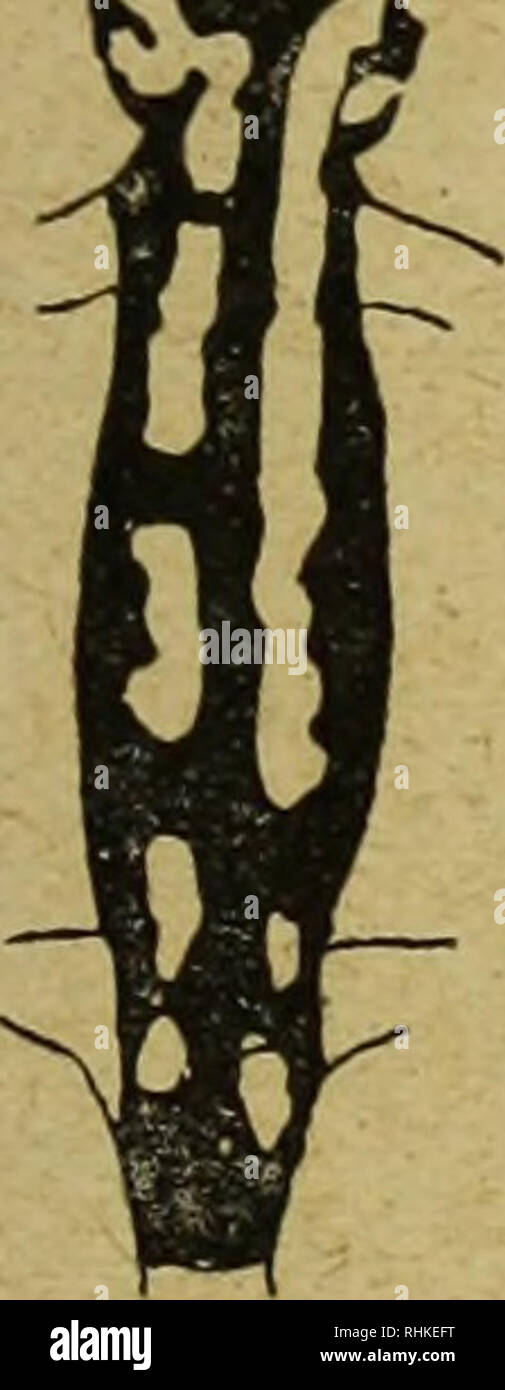 17 6 1913 Stock Photos 17 6 1913 Stock Images Alamy