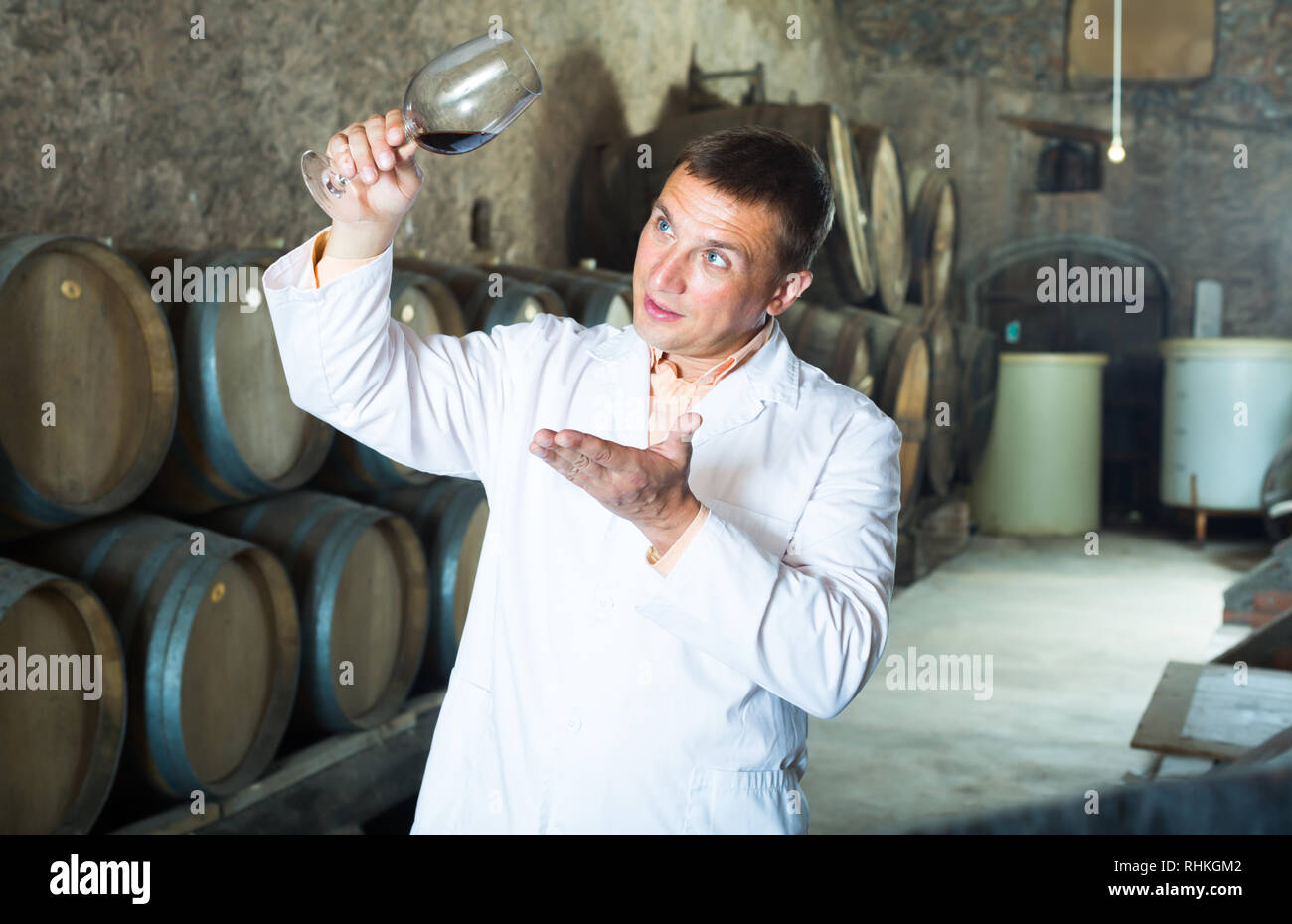Positive taster posing with glass of wine in winery cellar Stock Photo ...