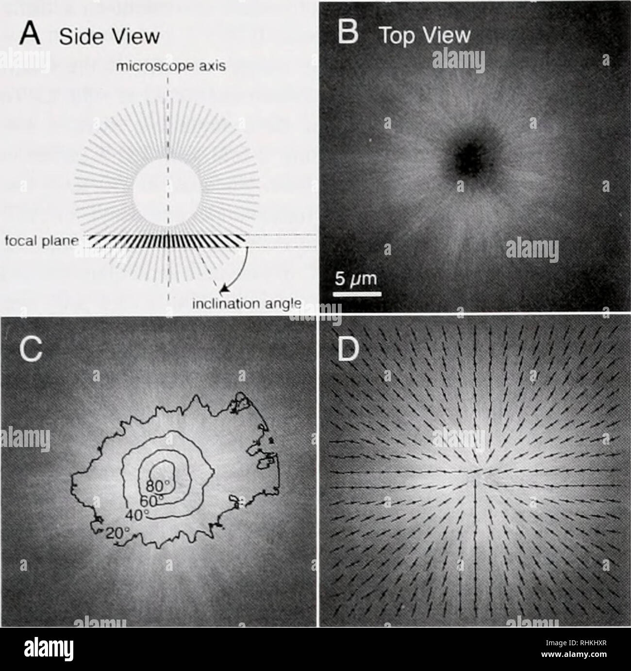 Objective definition image hires stock photography and images Alamy
