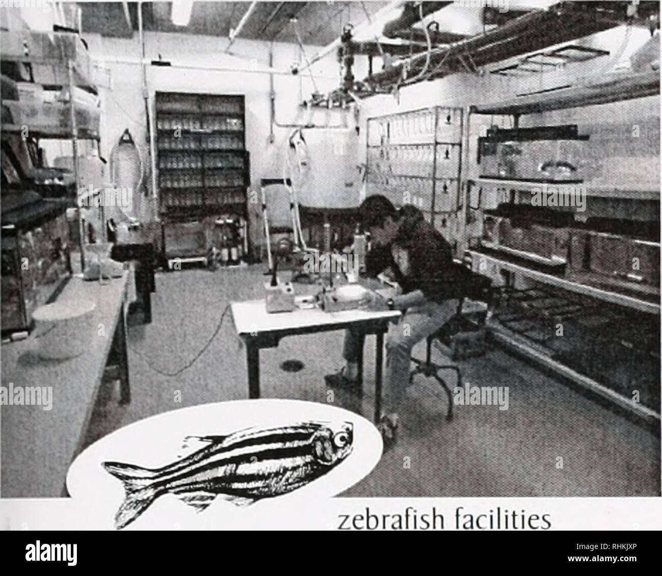 Marine Ma Stock Photos Marine Ma Stock Images Page 9 Alamy