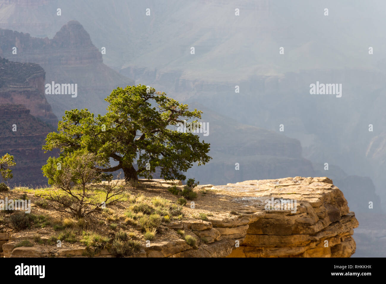 Thunderstorm in Grand Canyon National Park, Arizona, USA Stock Photo ...