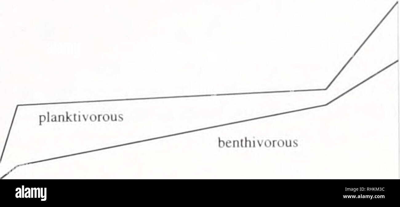 Nitrogen loading hi-res stock photography and images - Alamy