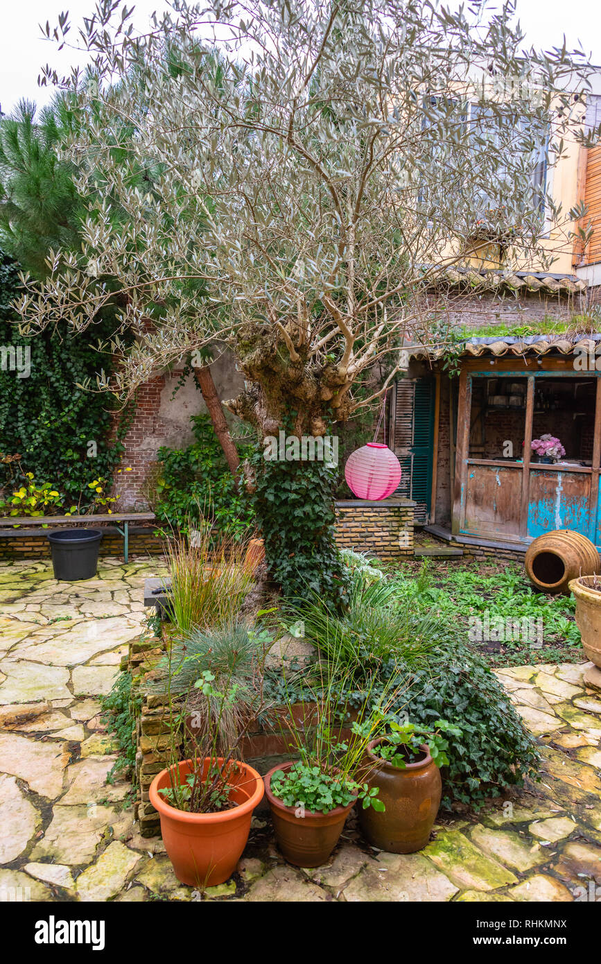 beautiful courtyard with various pots filled with plants and a tree in