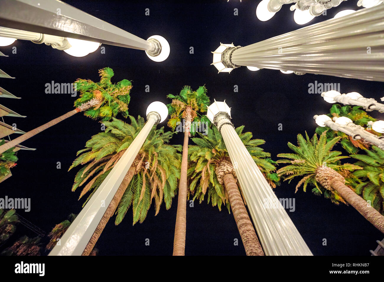 Bottom view of street lamps and plam trees in the night sky. Famous landmark, LACMA, Los Angeles, California, United States. Night urban scene. Stock Photo
