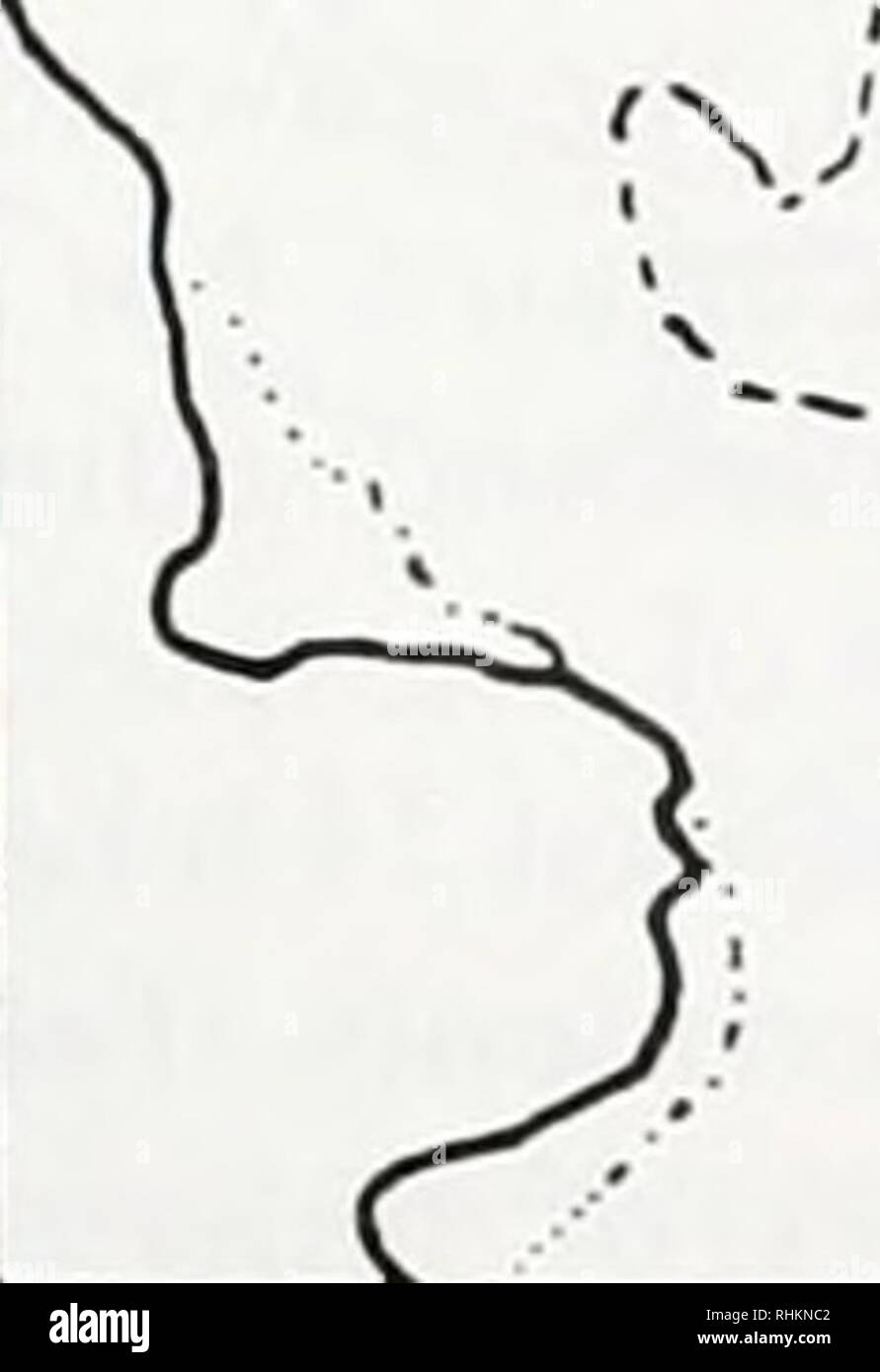 . The Biological bulletin. Biology; Zoology; Biology; Marine Biology. I8&quot;N- JAMAICA 77 °W 3COM B. Q 3 -10' 250 M Figure 3. Map of Discovery Bay, Jamaica (from Sides, 1481). (A) Overview of the bay. Dotted line = 10-meter depth contour. (B) Detail of the western half of the hay showing backreef collecting sites (I -4). given elsewhere (LeClair, 1994. 1995, 1996: see also Robbins, 1986; Smith el ai. 1995). In contrast to non- keeled vertebral ossicles (Fig. 4A), keeled vertebral ossi- cles have reduced articulating projections, a large notch on the proximal aboral surface, and an aboral, di Stock Photo
