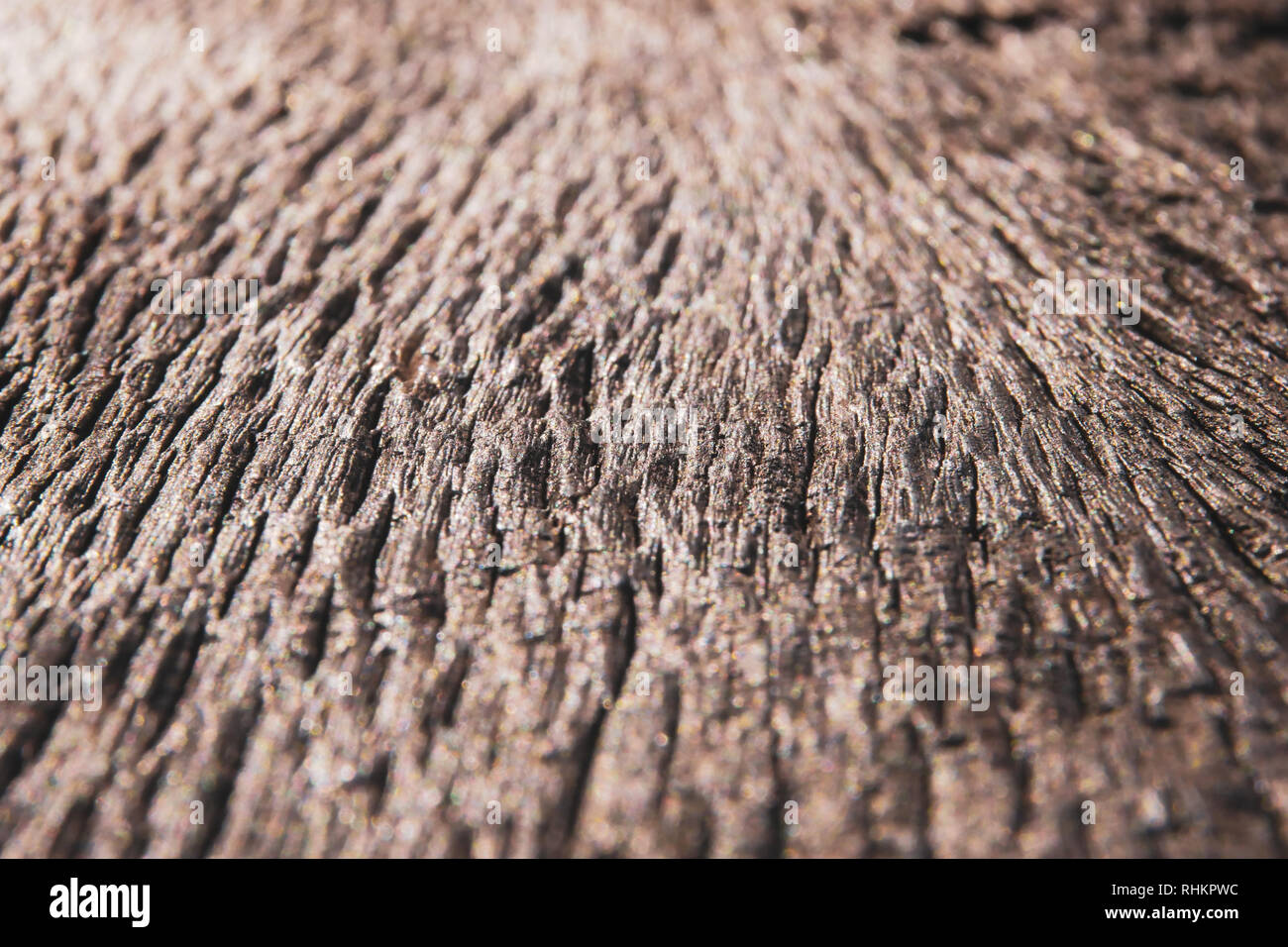 Abstract old wood close up texture. background for vintage background Stock Photo