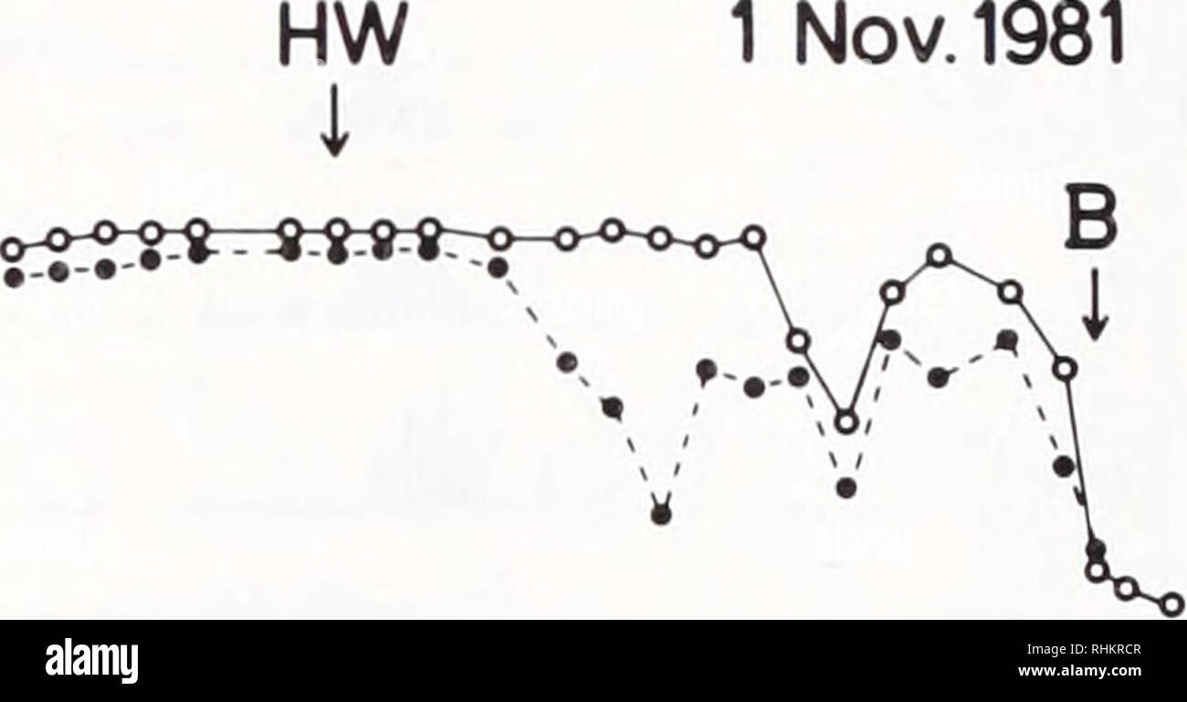 Spring tide and neap tide diagram hi-res stock photography and images ...