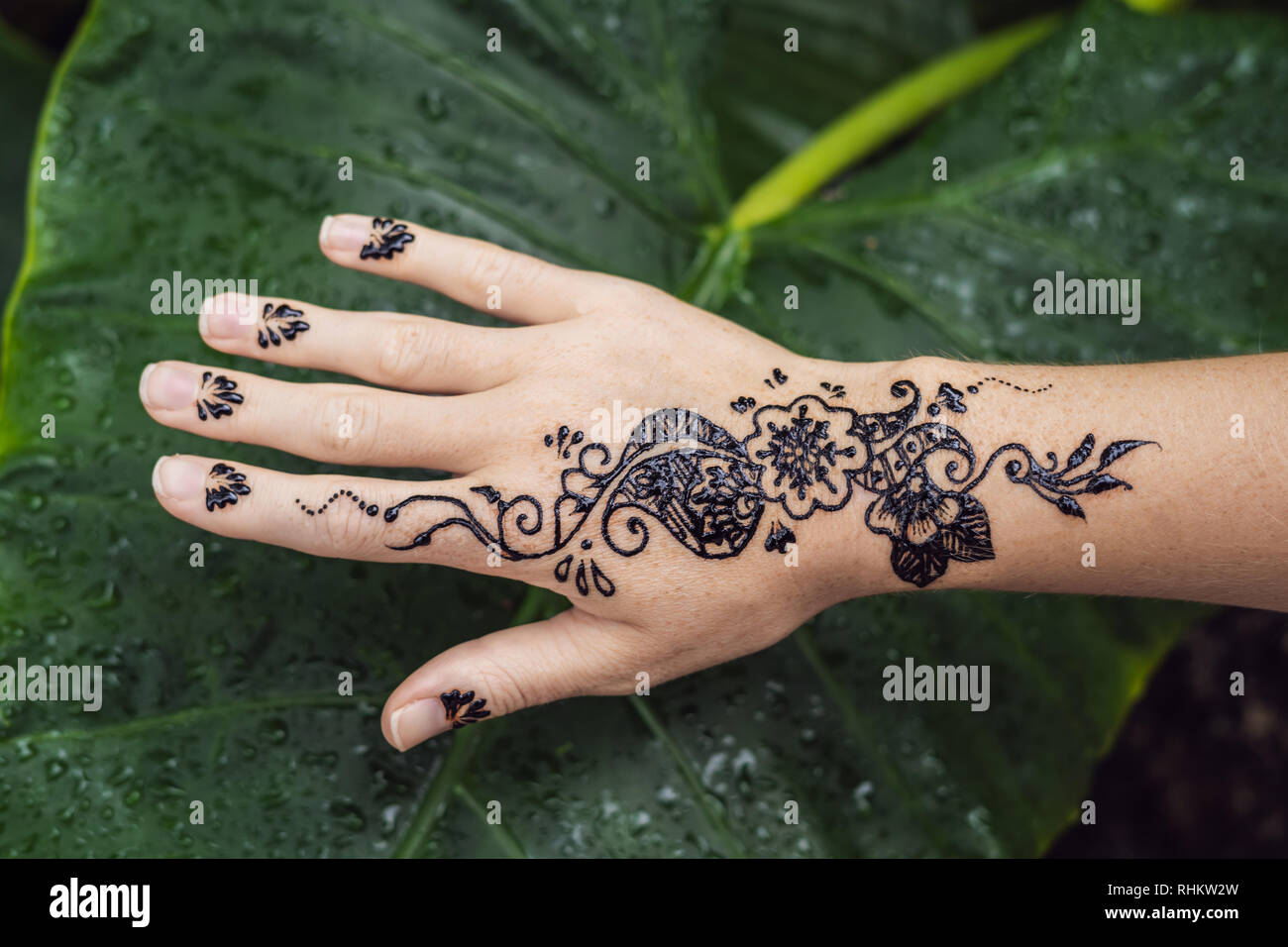 Viral Video: Woman Makes Stunning Mehendi Designs On Cookies, Video Has 25  Million Views