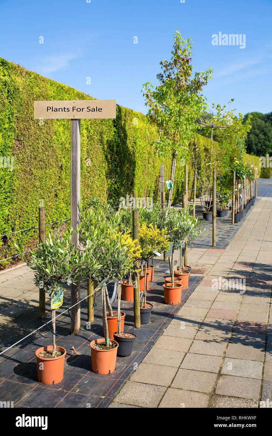 Plant sale sign hires stock photography and images Alamy