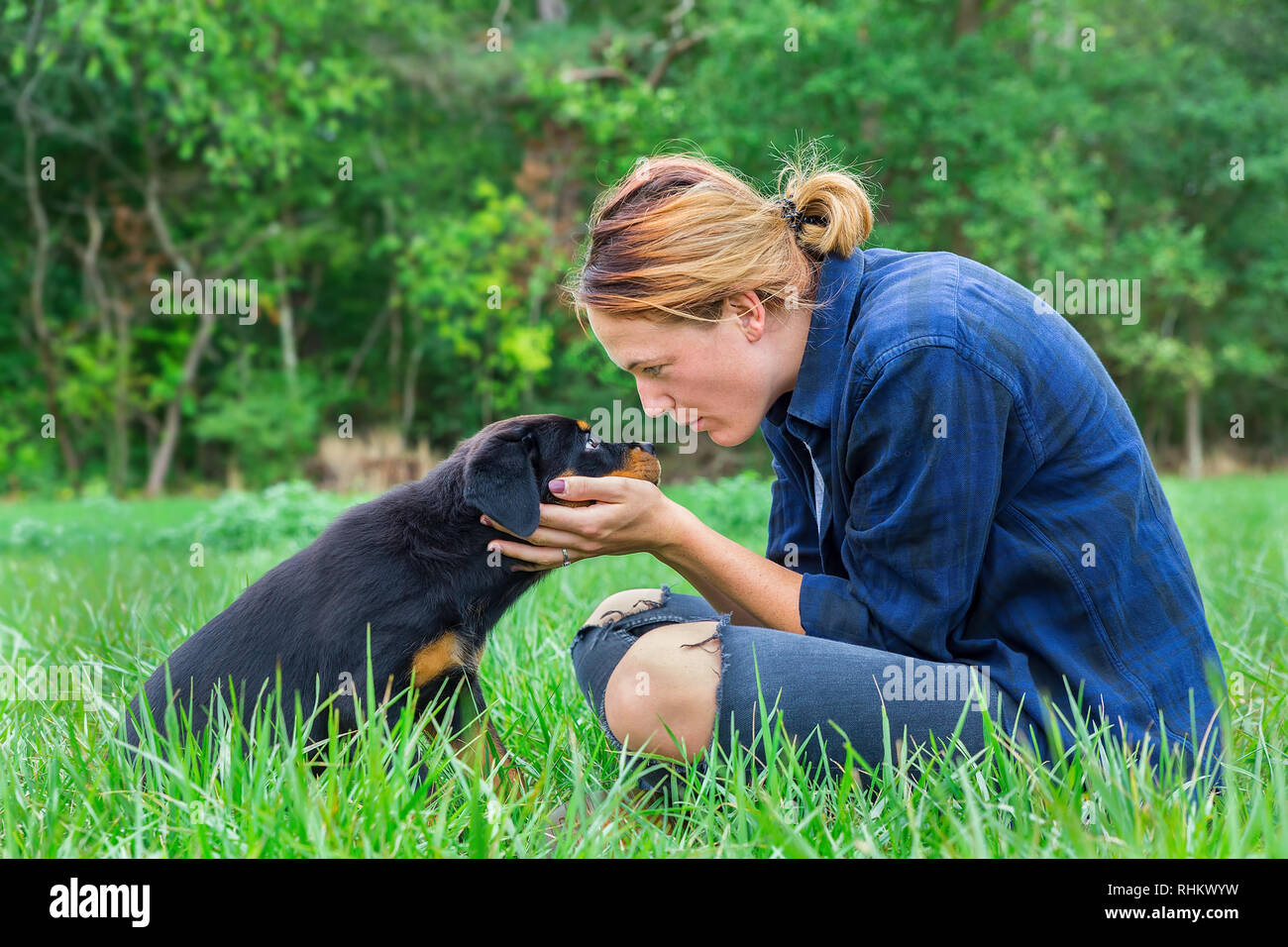 Young caucasian female dog owner   holds lovingly rottweiler puppy in natural meadow Stock Photo