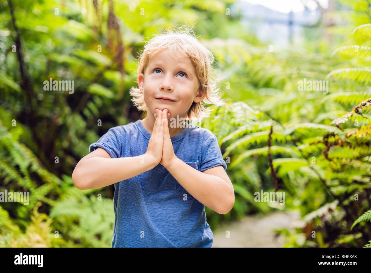 Cute little boy praying in the woods Stock Photo - Alamy