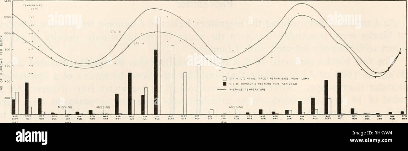 . The Biological bulletin. Biology; Zoology; Biology; Marine Biology. 56 MARTIN W. JOHNSON AND ROBERT J. MENZIES. FIGURE 1. Limnoria tripunctata. Seasonal attack on test blocks exposed for successive 30-day intervals at Stations A and B, San Diego Bay from August, 1952 to March 14, 1955. Seasonal temperature included. The intensity of settlement or attack on the blocks for a given period is taken to represent the intensity of migration for the period. It is determined by counting the number of burrows in the surface of the wood. Usually there are two animals, male and female, in each of the de Stock Photo