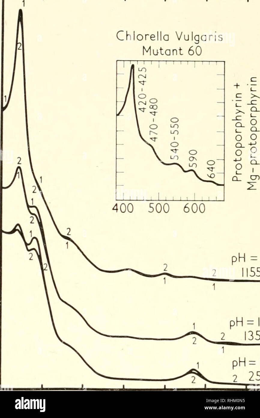 Download Biological Structure And Function Proceedings Biochemistry Cytology 336 James H C Smith With The Pk Values Of Various Amino Acids Suggests The Participation Of Lysine Cysteine And Tyrosine Changes In Ultraviolet