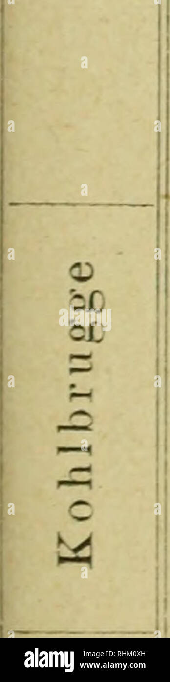 Biologisches Centralblatt Biology Biology W Lubosch Der Akademiestreit Zwischen Fteoffroy St Hilaire U Cutier Etc 411 A 2 Z V 1 3 Jd Xi F 1 A 8 A A X E 03 03