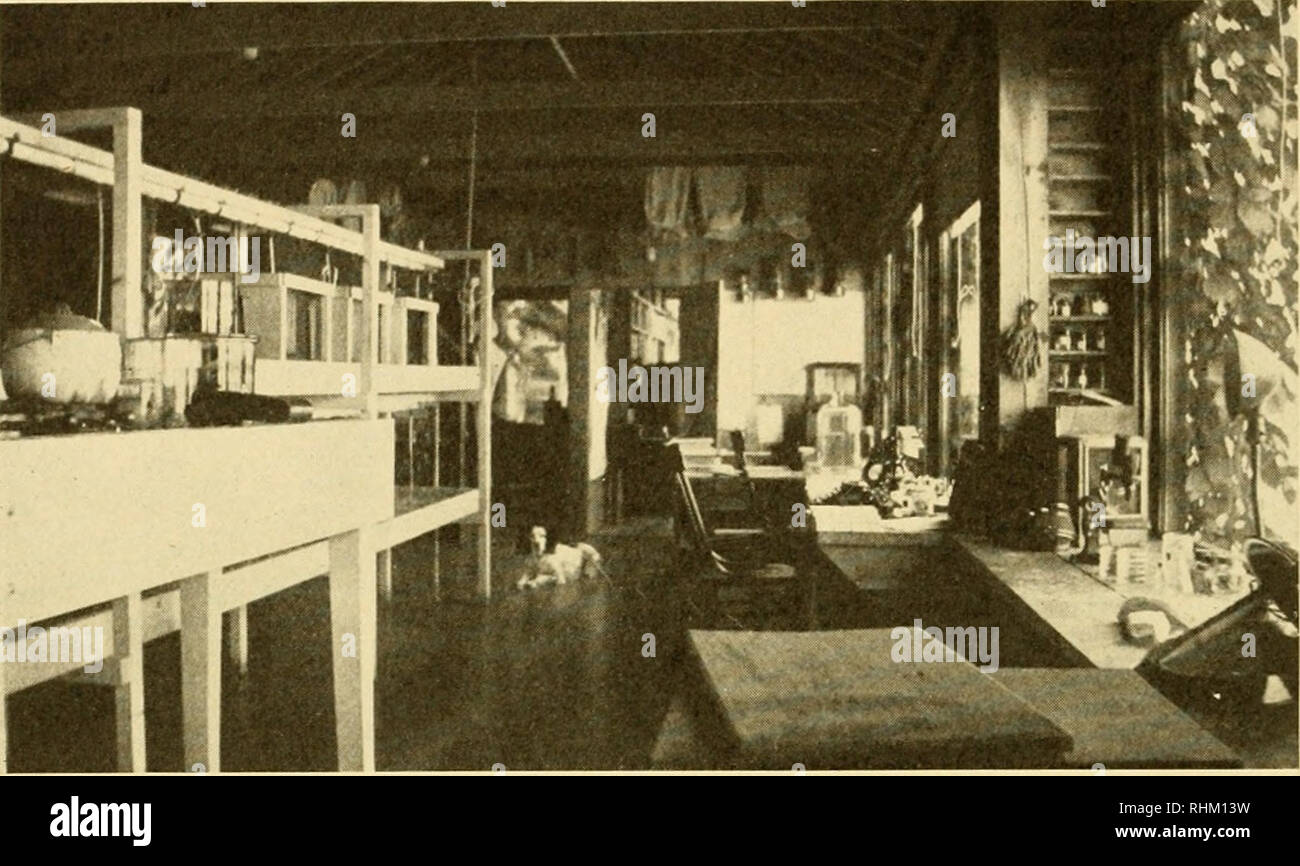 . Biological survey of the Mount Desert Region. Natural history