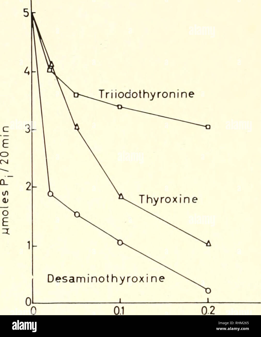 . Biological structure and function; proceedings. Biochemistry; Cytology. 8 OLOV LINDBERG et al. Inhibition of dinitrophenol- and Mg + ^-activated A TPases by thyroxine and rehited compounds In Fig. I, the effects of thyroxine, triiodothyronine and desamino- thyroxine on the dinitrophenol induced ATPase of rat Hver mitochondria are illustrated. Of the three compounds, desaminothyroxine exhibited the strongest inhibition, giving half-inhibition at a concentration of about 0-02 mM. The effect of the same compounds on the Mg + +-acti- vated ATPase is shown in Fig. 2. For the study of this reactio Stock Photo