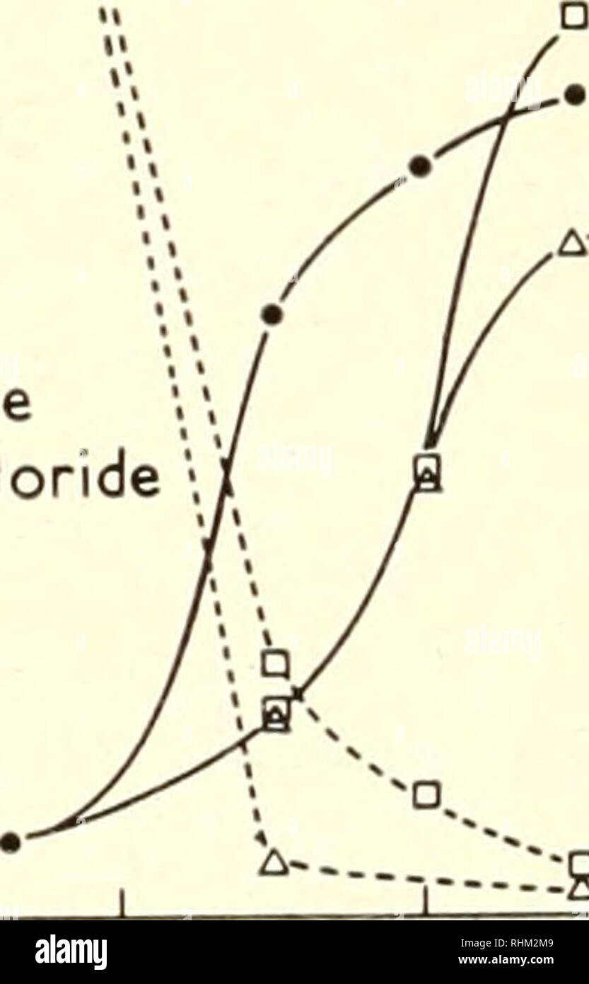 Biological Structure And Function Proceedings Biochemistry Cytology 64 Gertrude E Perlmann Table Iii Rotatory Dispersion Constant A And Specific Activity Of Pepsin In Various Solvents As Function Of Temperature Relative Specific