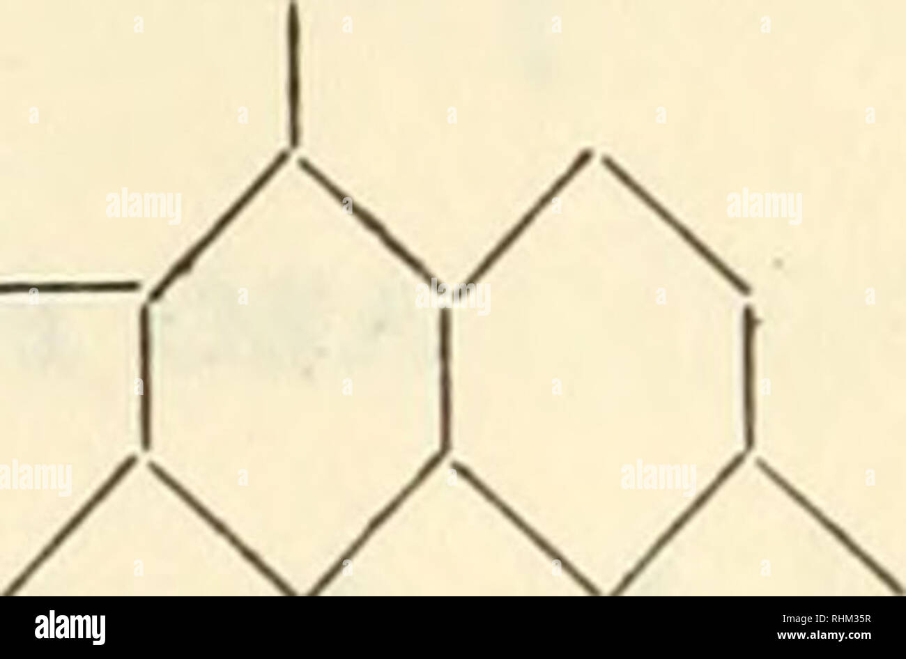 . Biological stains; a handbook on the nature and uses of the dyes employed in the biological laboratory. Stains and staining (Microscopy); Stains and Staining; Dyes. 76 Biological Stains c«8 NITRAZINE Synonyms: Nitrazine yellow. Delta dye indicator. NO. OH I / N N. NO. NaSOj SO3 Na Ci6H8N40iiS2Na2; Mol. Wt. 542.370 {An acid dye) This dye has recently been proposed as an indicator, having a pH range of 6.0 to 7.2. Its acid color is bright yellow, from which it passes thru gray-green into its alkaline color, bright blue.This indicator can be used in the form of test strips, like litmus paper.  Stock Photo