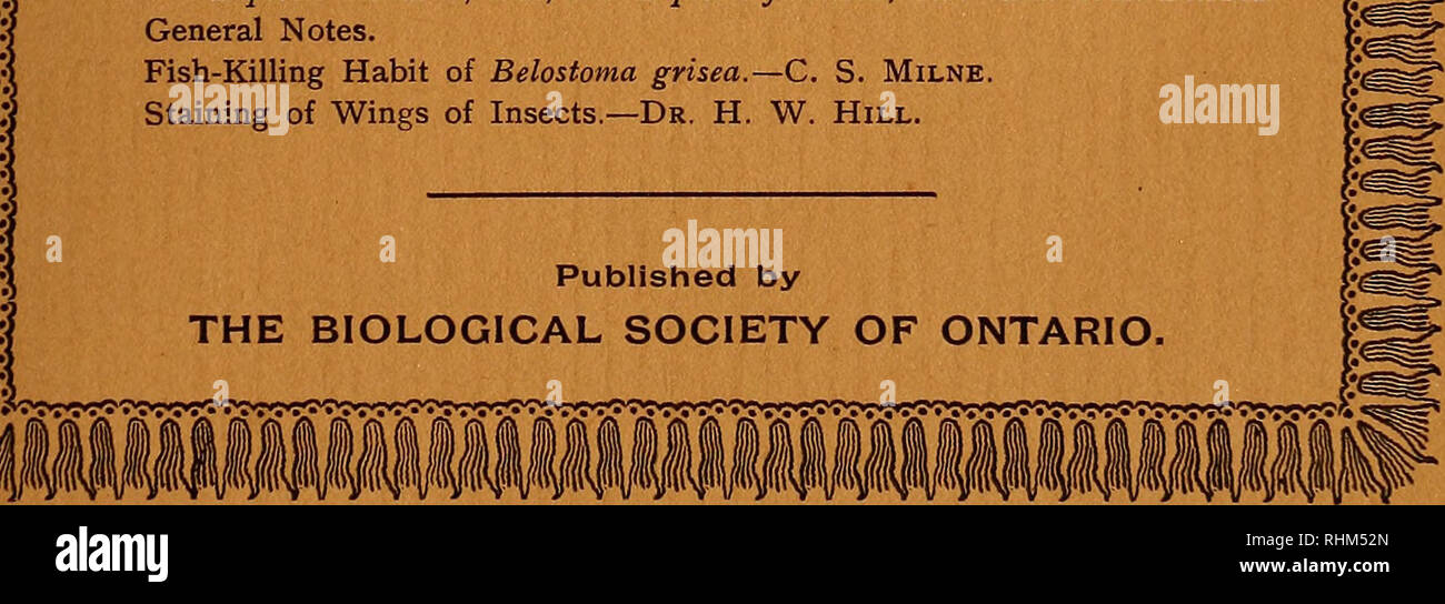 Biological review of Ontario. Vol. I, No. 4. Toronto, October, 1894. The  Biological Review of Ontario. CONTENTS. Mammalogy— The Panther in  Canada.—J. W. Milne. Zapus hudsonius.—A. Kay. Ornithology— Ardetta neoxena  at