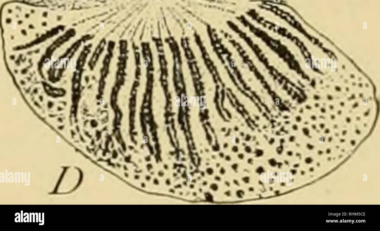 . Biological lectures delivered at the Marine Biological Laboratory of ... Biology Diagrams