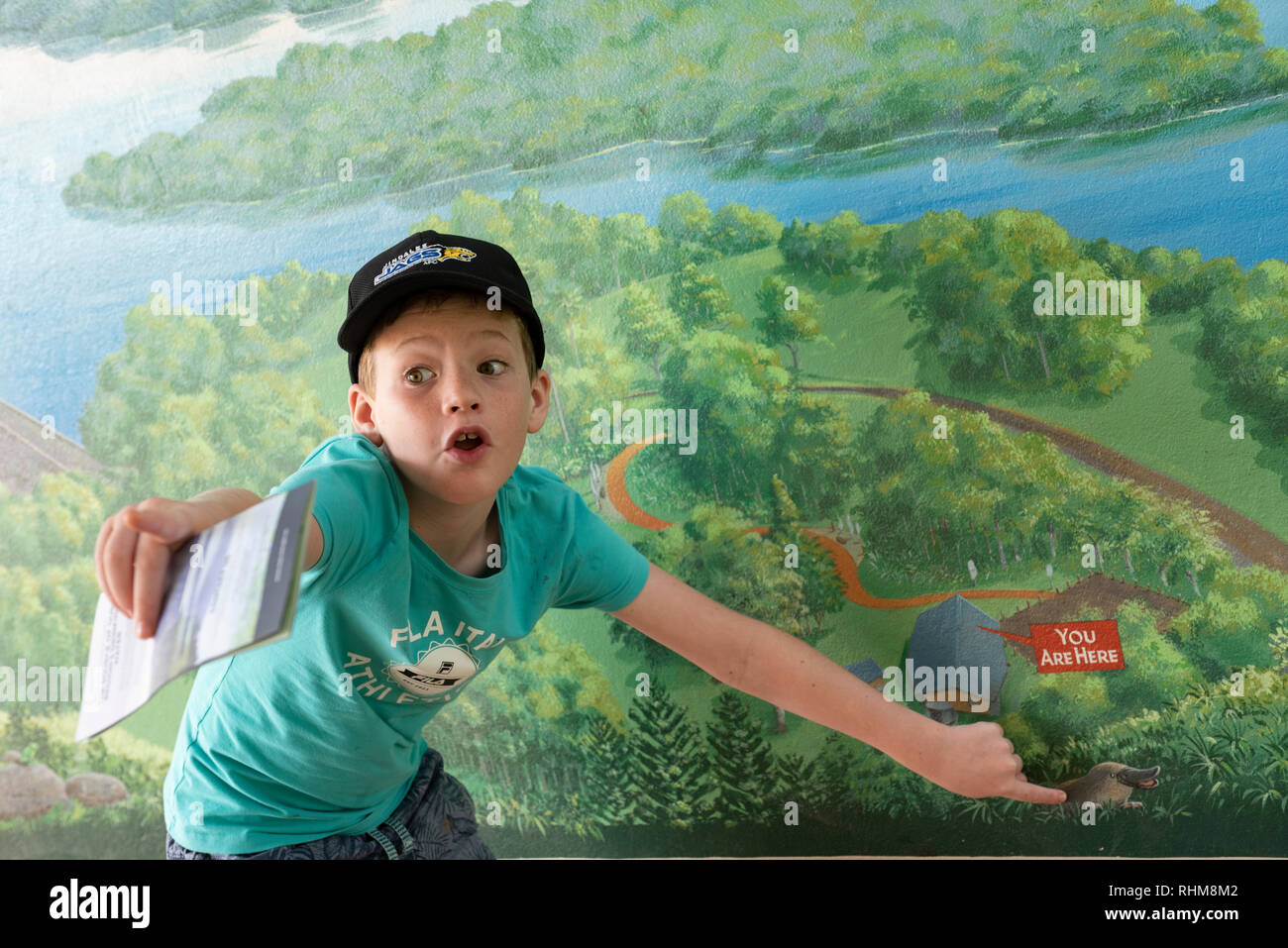 Boy excited about a platypus on an illustration at Rocky Creek Dam, rainforest and water reserve, New South Wales, Australia and points at something Stock Photo