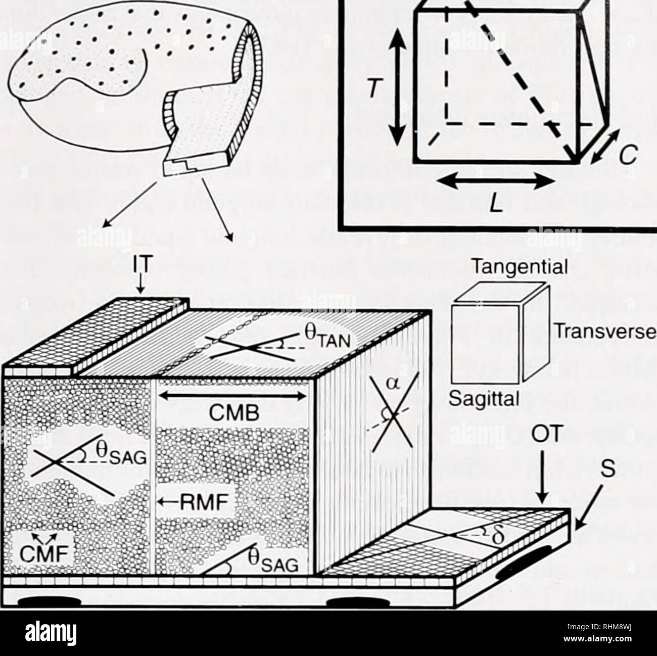 . The Biological bulletin. Biology; Zoology; Biology; Marine Biology ...
