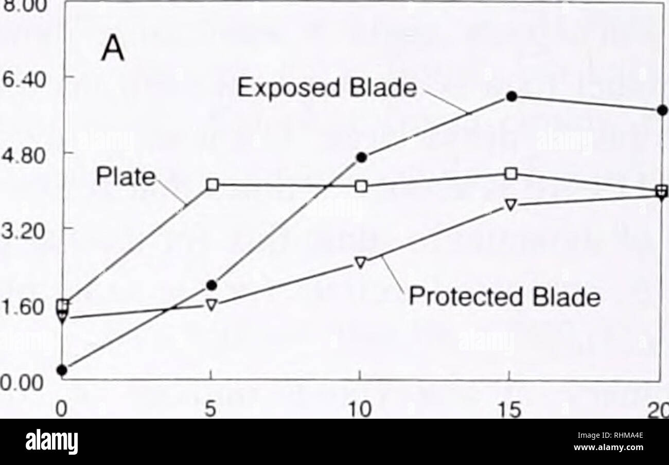 . The Biological bulletin. Biology; Zoology; Biology; Marine Biology
