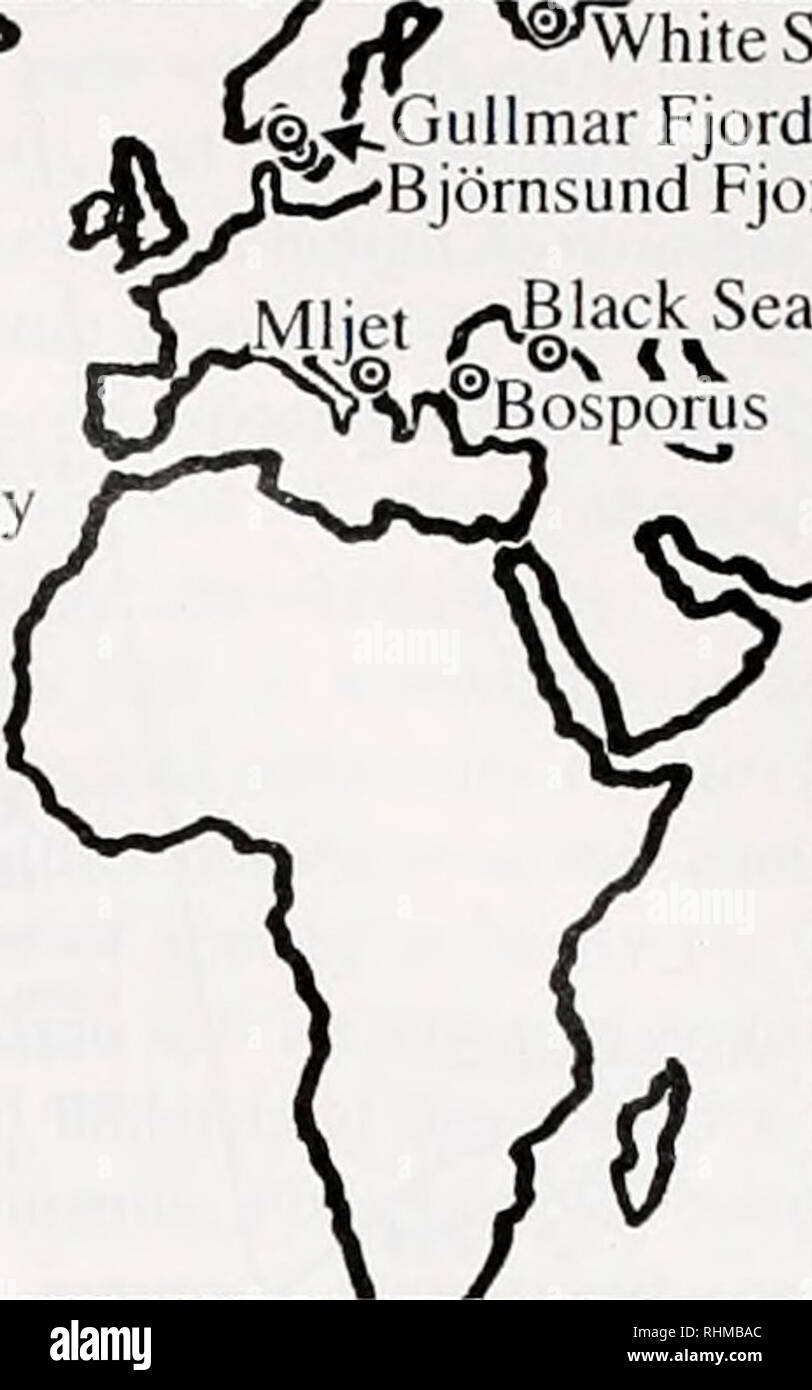. The Biological bulletin. Biology; Zoology; Biology; Marine Biology. Cananeia. Fjord|-600N Bjornsund Fjord •30°N -0° 180° 120°W 60°W 30°S 0° 60°E Figure 1. Sample locations of Aitrelia in this study include sites within the ranges of the three currently recognized morphospecies: A. labiata (Pacific North America), ,4. limbaia (polar seas below 70 °N from western Greenland to Siberia), and A. aitrita (Europe [the type locality], northern Atlantic, and all remaining regions). Samples from Narragansett Bay comprise two sites: the semi-enclosed Charlestown Salt Pond and the open Greenwich Cove. S Stock Photo
